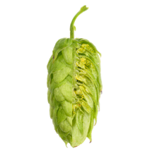Image of Amarillo®