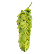 Image of Huell Melon